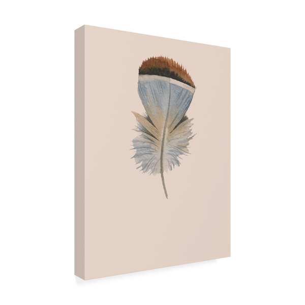 Incado 'Feather 04' Canvas Art,24x32